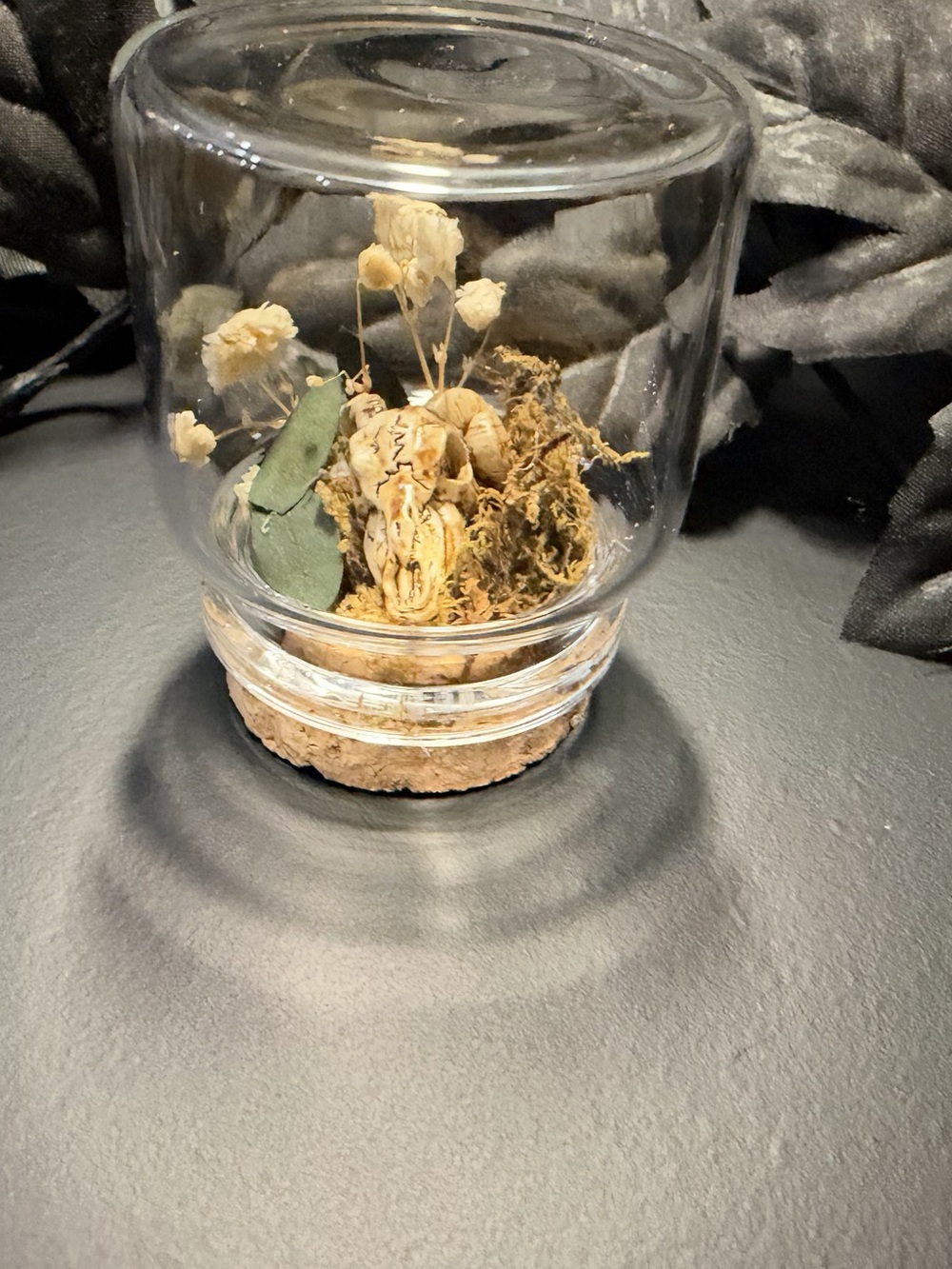 Glass Dried Botanical Display Decor